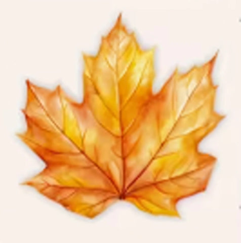 Autumn Maple Leaf Harvest - Decorative 4-ply Napkins - 20pk