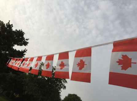 Canada Flag Garland / Pennant - 29ft (9m)